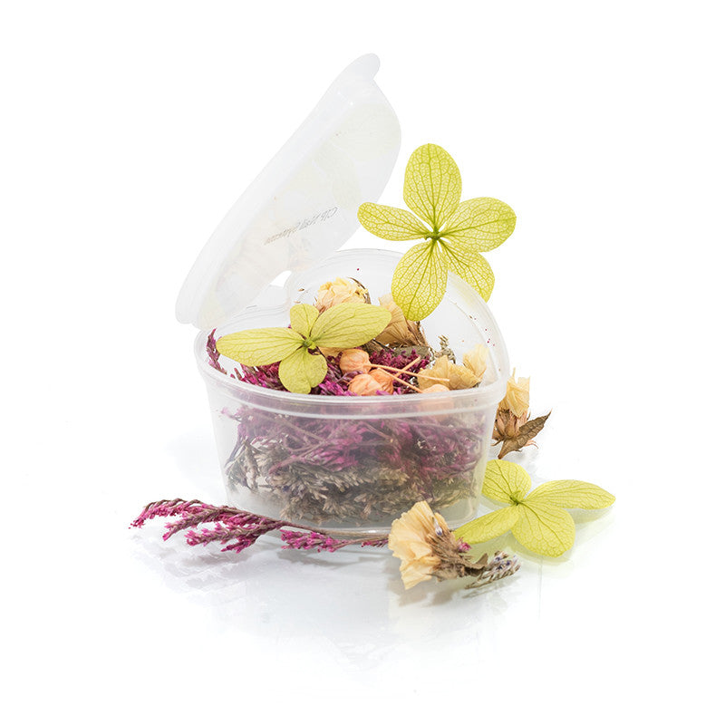 Dried Flowers - Heart Tub