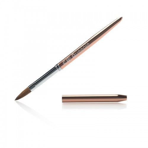 Brush Case With 11 CJP Brushes