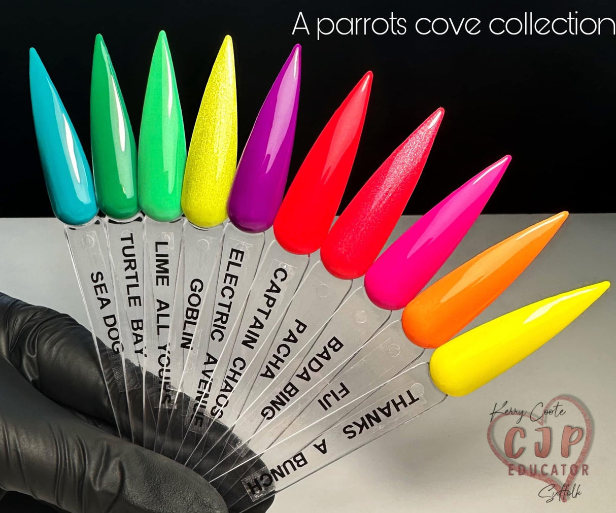 A Parrot's Cove Collection