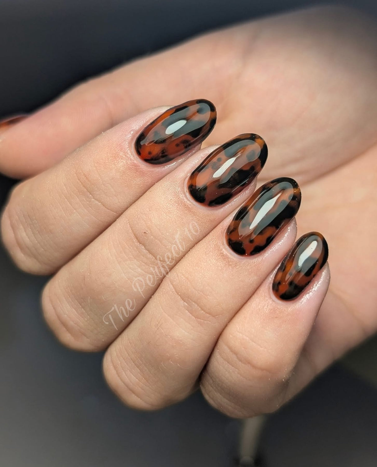 Stained Glass Brown 15ml 213