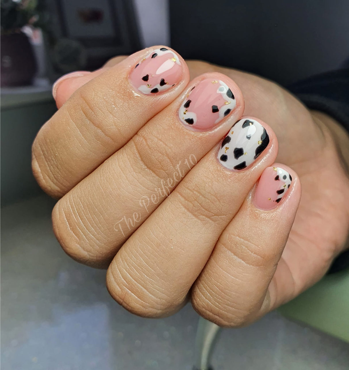 Antique Crème 15ml 010