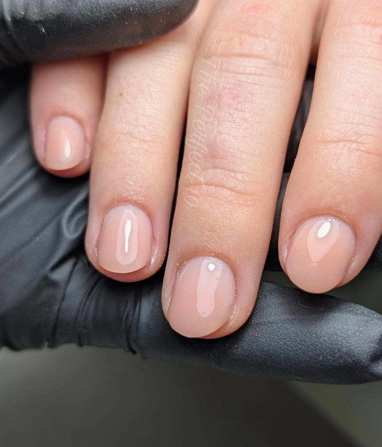 Sugar Honey ESG 15ml