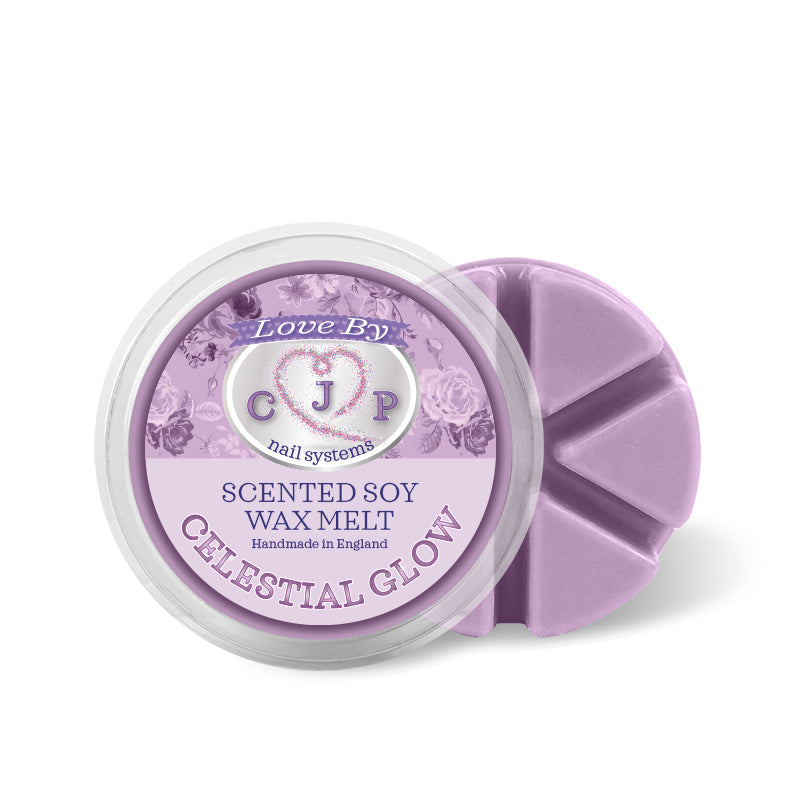 Christmas Wax Melt Bundle x 10 50g