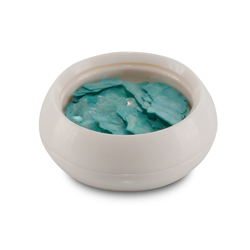 Shell Pieces Various