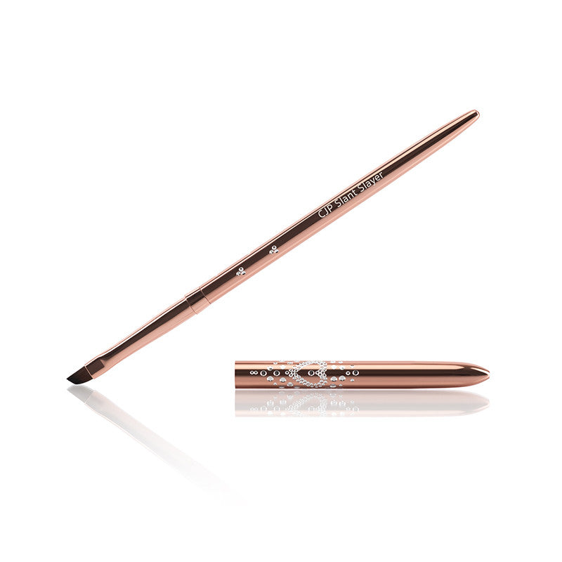 Brush Case With 11 CJP Brushes