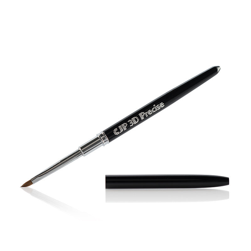 Brush Case With 11 CJP Brushes