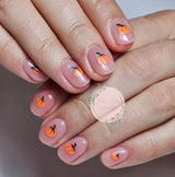 Lip Gloss 15ml 110