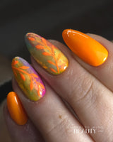 Fiji 15ml 067