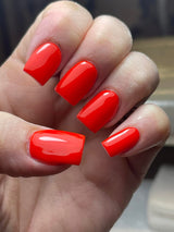 Rebel 15ml 178