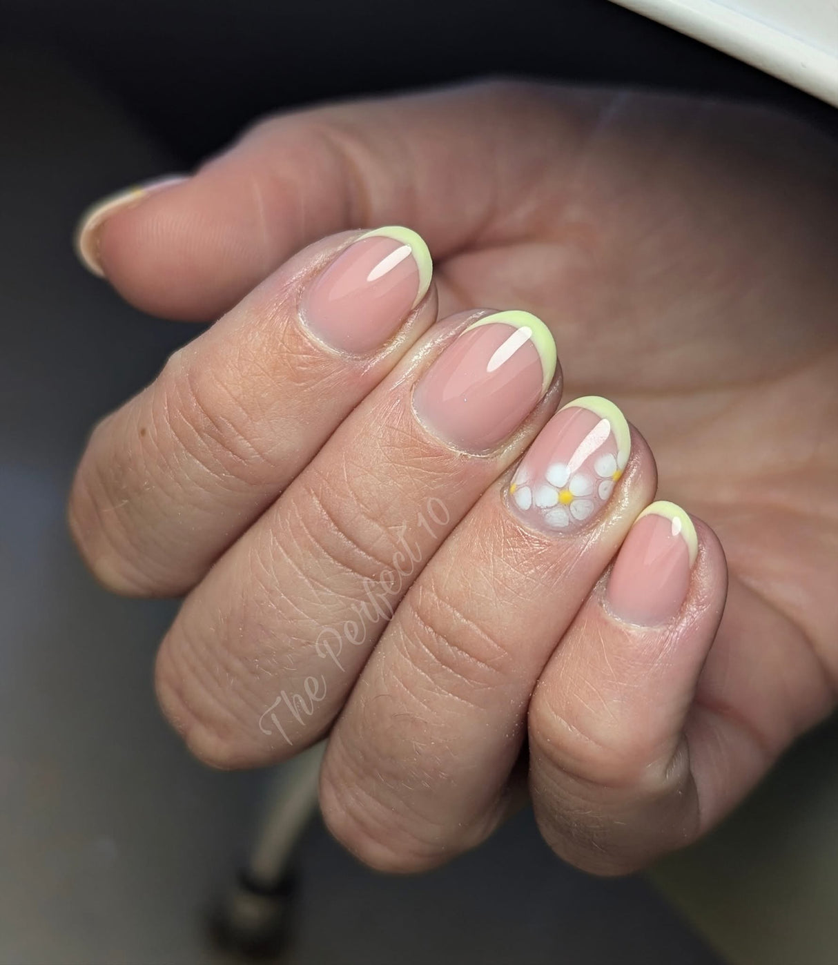 Daisy 15ml 050
