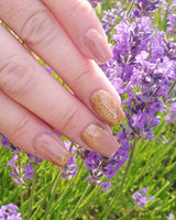 Bonny Brush On Builder Gel 15ml